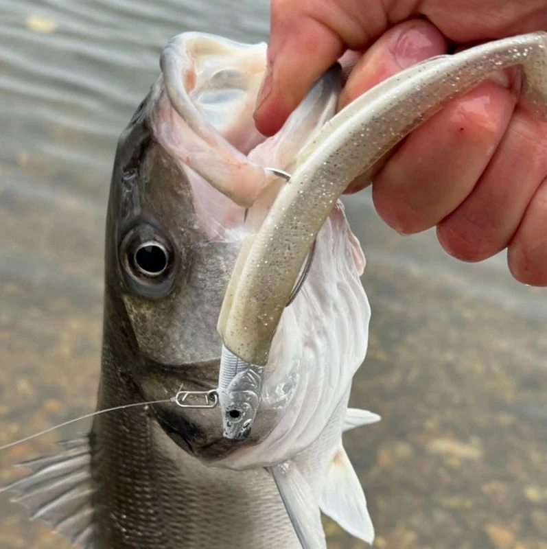 Westin Sandy Andy Weedless Jigs